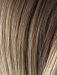 22_16+14 Sandyblonde Balayage
